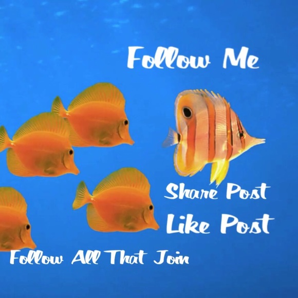 ThankYou 100,000 K - Picture 2 of 4